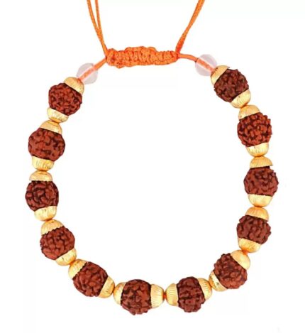 Rudraksha Brace late