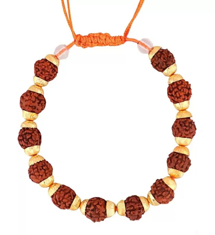 Rudraksha Brace late